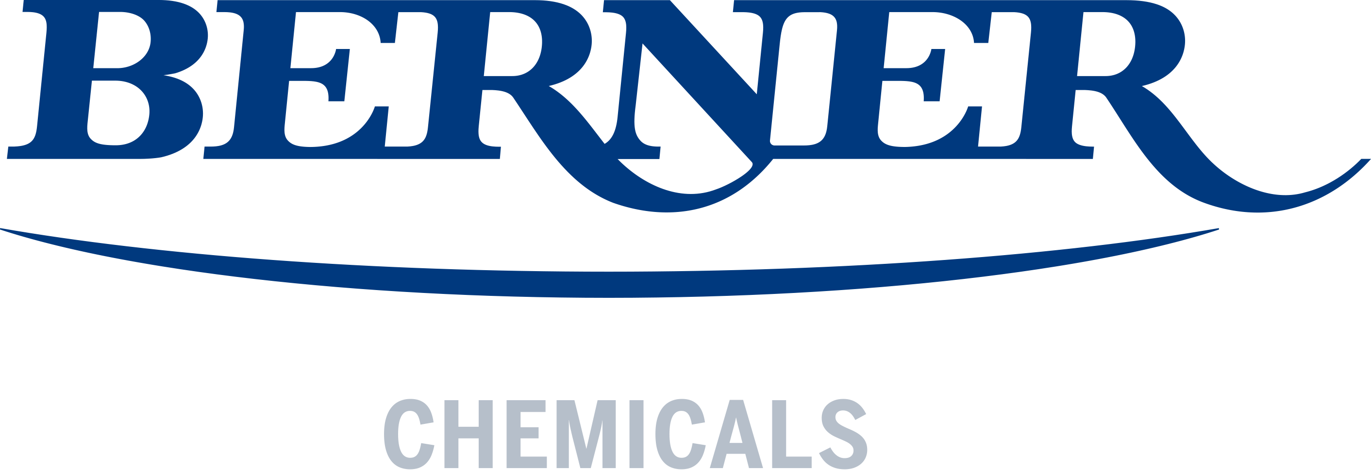 Bernerchemicals Logo